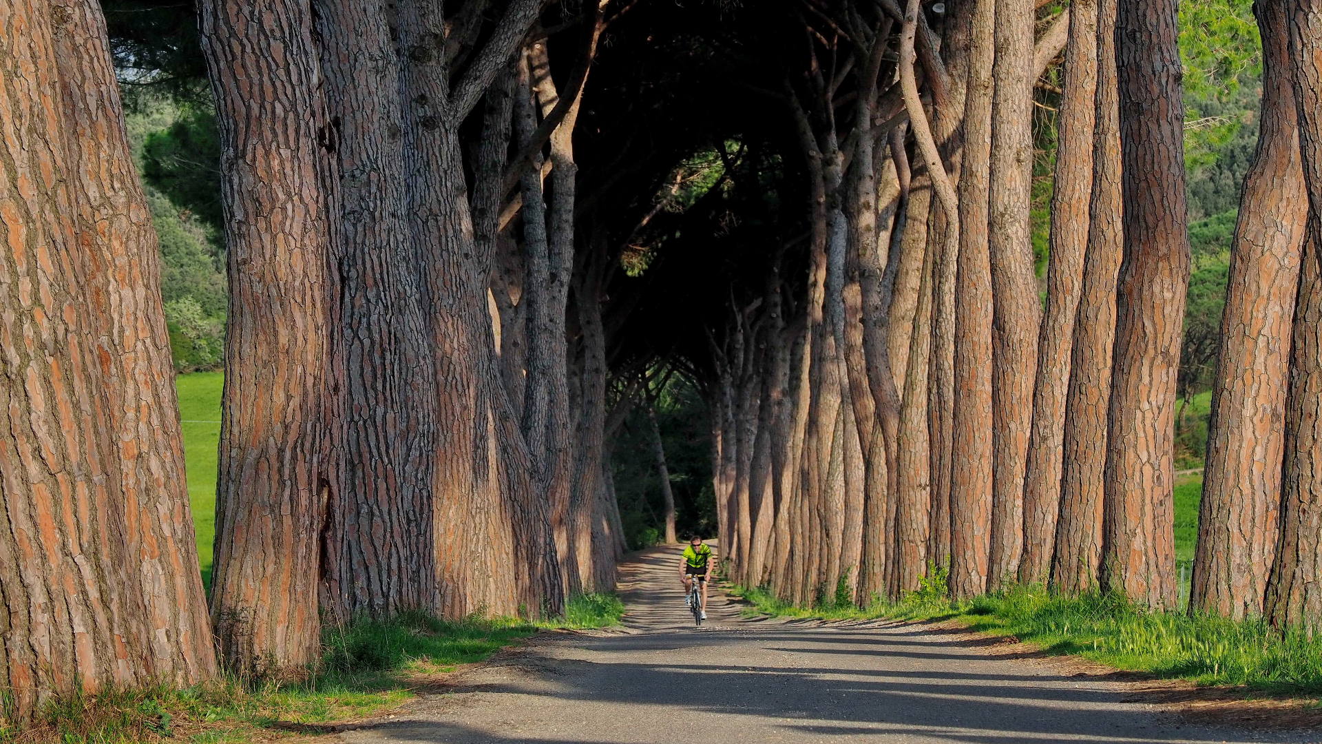 Berufliches Coaching