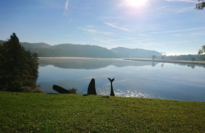 Eine Wiese vor einem See